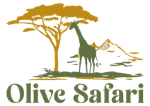  OLIVE SAFARI UGANDA